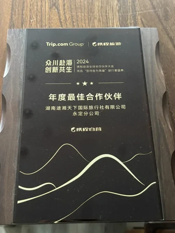 Trip.com Best Partner of the Year 2024
