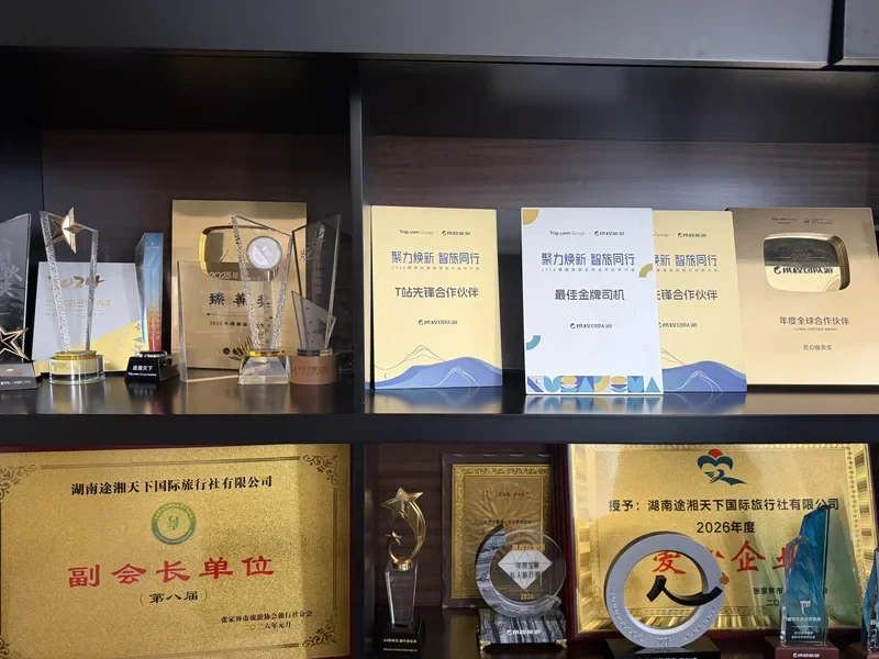 Zhangjiajie Tourism Association Vice President Unit Certificate 2026